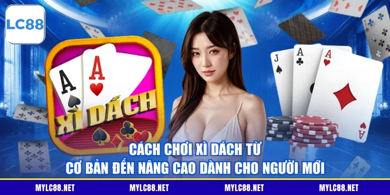 Cách Chơi Xì Dách Từ Cơ Bản Đến Nâng Cao Dành Cho Người Mới