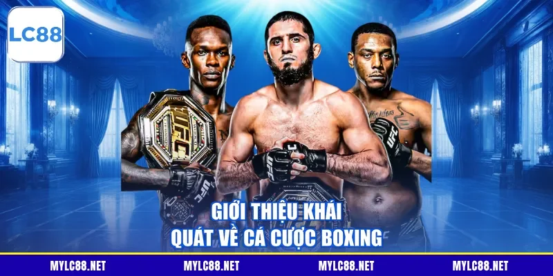 Giới thiệu khái quát về cá cược Boxing