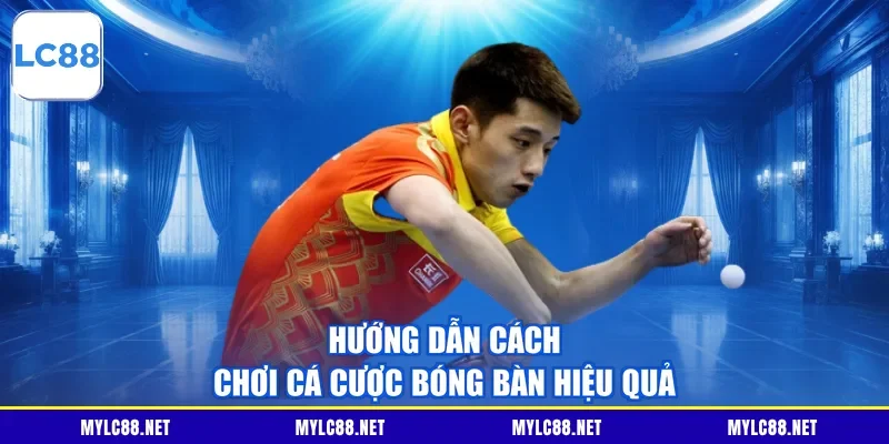 Hướng dẫn cách chơi cá cược bóng bàn hiệu quả