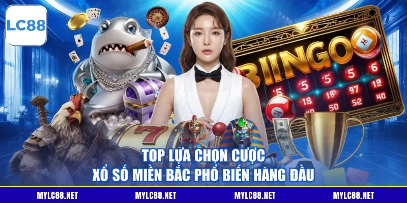 Top lựa chọn cược xổ số miền bắc phổ biến hàng đầu
